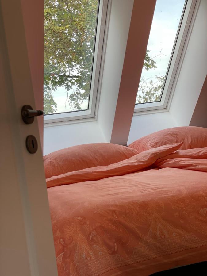 Meine Schule Sehlingen, Familien-Apartment Mit Sauna & Spielplatz! Kirchlinteln Exteriör bild
